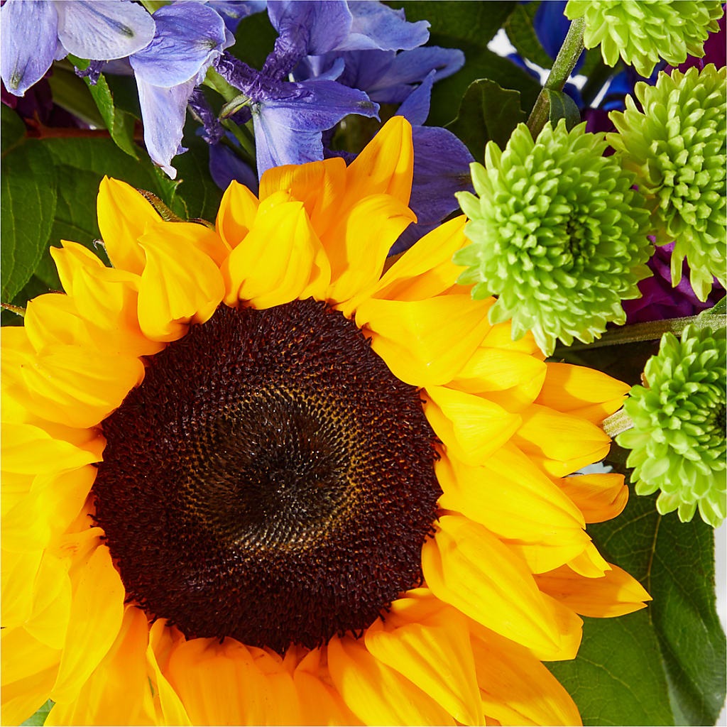 Catching Rays Bouquet – Broadway Gifts And Flowers, Farmington NM