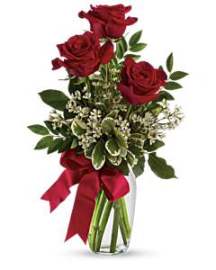 3 Red Roses