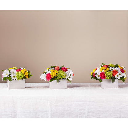 Sorbet Bouquet –  Broadway Gifts And Flowers, Farmington NM