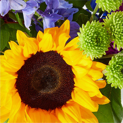 Catching Rays Bouquet –  Broadway Gifts And Flowers, Farmington NM
